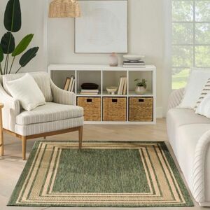 The Rug Shop UK Green Border Modern Polyester Easy To Clean Area Rug Size: 274 cm x 183 cm Green 274 cm x 183 cm The Rug Shop UK Green Border Modern Polyester Easy To Clean Area Rug Size: 274 cm x 183 cm Green 274 cm x 183 cm