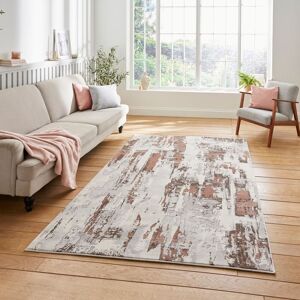 The Rug Shop UK Modern Abstract Distressed Stain Resistant Easy to Clean Rug in Grey Size: 200 cm x 290 cm Grey 200 cm x 290 cm The Rug Shop UK Modern Abstract Distressed Stain Resistant Easy to Clean Rug in Grey Size: 200 cm x 290 cm Grey 200 cm x 290 cm