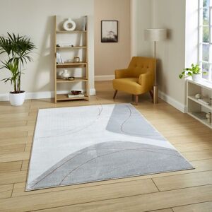 The Rug Shop UK Grey Rose Modern Abstract 10mm Thick Stain-Resistant Easy to Clean Rug Size: 120 cm x 170 cm Grey 120 cm x 170 cm The Rug Shop UK Grey Rose Modern Abstract 10mm Thick Stain-Resistant Easy to Clean Rug Size: 120 cm x 170 cm Grey 120 cm x 170 cm