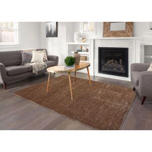 Smart Living Super Soft Fluffy Thick Pile Shimmer Shaggy Area Rugs in Beige Size: 120 cm x 170 cm Beige 120 cm x 170 cm Smart Living Super Soft Fluffy Thick Pile Shimmer Shaggy Area Rugs in Beige Size: 120 cm x 170 cm Beige 120 cm x 170 cm
