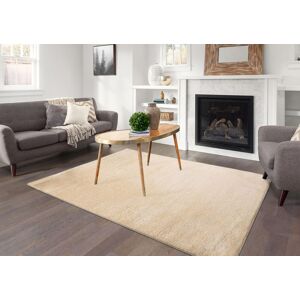 Smart Living Super Soft Fluffy Thick Pile Shimmer Shaggy Area Rugs in Light Beige Size: 160 cm x 230 cm Light Beige 160 cm x 230 cm Smart Living Super Soft Fluffy Thick Pile Shimmer Shaggy Area Rugs in Light Beige Size: 160 cm x 230 cm Light Beige 160 cm x 230 cm