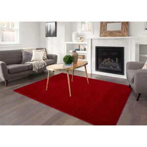 Smart Living Super Soft Fluffy Thick Pile Shimmer Shaggy Area Rugs in Red Size: 120 cm x 170 cm Red 120 cm x 170 cm Smart Living Super Soft Fluffy Thick Pile Shimmer Shaggy Area Rugs in Red Size: 120 cm x 170 cm Red 120 cm x 170 cm