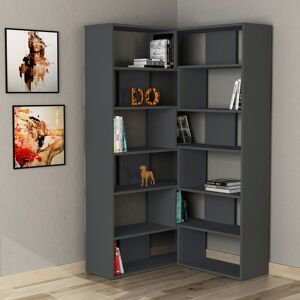 Decortie Molly' Modern Bookcase Display Unit No.4 in Dark Grey Size: 2 Pack Dark Grey 2 Pack Decortie Molly' Modern Bookcase Display Unit No.4 in Dark Grey Size: 2 Pack Dark Grey 2 Pack
