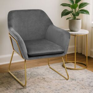 Orsina Durable & Versatile Grey Velvet Armchair, Easy Care Velvet Chairs, Indoor Dining with Velvet Dining Chair Grey Orsina Durable & Versatile Grey Velvet Armchair, Easy Care Velvet Chairs, Indoor Dining with Velvet Dining Chair Grey