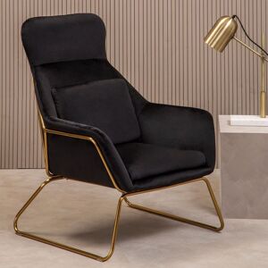 Premier Housewares Black Velvet Armchair - Sturdy, Easy Care, Indoor Dining Premier Housewares Black Velvet Armchair - Sturdy, Easy Care, Indoor Dining