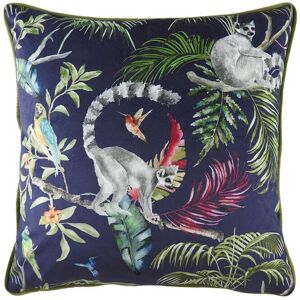 Evans Lichfield Jungle Lemur Velvet Piped Cushion in Blue Size: 43 cm x 43 cm Blue 43 cm x 43 cm Evans Lichfield Jungle Lemur Velvet Piped Cushion in Blue Size: 43 cm x 43 cm Blue 43 cm x 43 cm