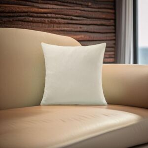 Luxury Living Velvet Chenille Cushion in Cream Size: 55 cm x 55 cm Cream 55 cm x 55 cm Luxury Living Velvet Chenille Cushion in Cream Size: 55 cm x 55 cm Cream 55 cm x 55 cm