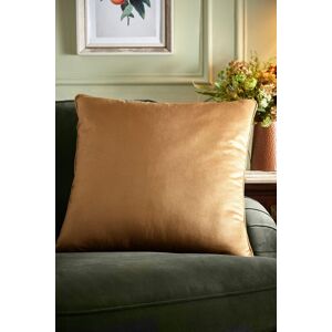 Appletree 'Harlan' Velvet Filled Cushion in Gold Size: 55 cm x 55 cm Gold 55 cm x 55 cm Appletree 'Harlan' Velvet Filled Cushion in Gold Size: 55 cm x 55 cm Gold 55 cm x 55 cm