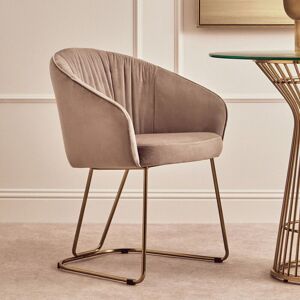 Orsina Mink Velvet Dinner Chair, Easy to Care Armrest Accent Dining Chair, Easily Adjustable Indoor Chair in Brown Brown Orsina Mink Velvet Dinner Chair, Easy to Care Armrest Accent Dining Chair, Easily Adjustable Indoor Chair in Brown Brown