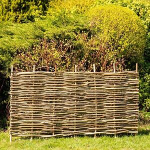 Primrose Premium Hazel Hurdle Woven Wattle Garden Fence Panel 6ft x 3ft in None None Primrose Premium Hazel Hurdle Woven Wattle Garden Fence Panel 6ft x 3ft in None None