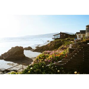 Direct Plants The Coastal Selection Hardy Shrub Plant Garden Border Mix Large Mature Plants Supplied in 3 Litre Pots - Pack of 6 in Green Green Direct Plants The Coastal Selection Hardy Shrub Plant Garden Border Mix Large Mature Plants Supplied in 3 Litre Pots - Pack of 6 in Green Green