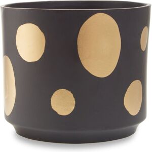 Orsina Big Garden Pot, Speckled Ceramic Planter for Indoor Plants & Home Decor, Indoor Plants pot, Large Flower & Plant Pot in Black Black Orsina Big Garden Pot, Speckled Ceramic Planter for Indoor Plants & Home Decor, Indoor Plants pot, Large Flower & Plant Pot in Black Black