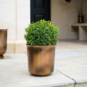Ivyline Outdoor Hampton Copper Metal Planter, H28cm x W27.5cm Copper Ivyline Outdoor Hampton Copper Metal Planter, H28cm x W27.5cm Copper