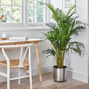 Ivyline Indoor Chelsea Pewter Planter, H28cm x D28cm in Silver Silver Ivyline Indoor Chelsea Pewter Planter, H28cm x D28cm in Silver Silver