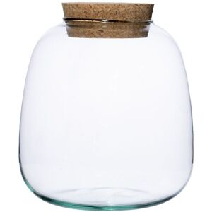 Ivyline Bowl Shape Medium Terrarium DIY Kit H20cm D19cm- Perfect for Gifting in Clear Clear Ivyline Bowl Shape Medium Terrarium DIY Kit H20cm D19cm- Perfect for Gifting in Clear Clear