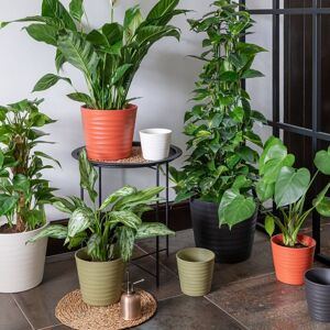 Ivyline Oslo Cayenne Taper Planter - H24cm D28cm 4 Colours & 2 Sizes Available Online Ceramic Made in Europe in Burnt Orange Burnt Orange Ivyline Oslo Cayenne Taper Planter - H24cm D28cm 4 Colours & 2 Sizes Available Online Ceramic Made in Europe in Burnt Orange Burnt Orange