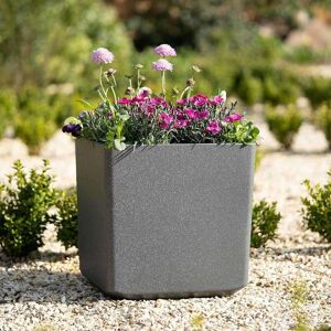 Primrose Cube Stone Effect Planter Square Plant Pot Indoor Outdoor Gardens 43cm in Dark Grey Dark Grey Primrose Cube Stone Effect Planter Square Plant Pot Indoor Outdoor Gardens 43cm in Dark Grey Dark Grey