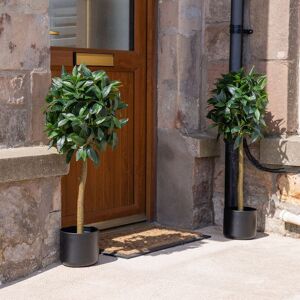 Scottish Everlastings Ltd Set of 2 90cm Bay Tree in Pot in Green Green Scottish Everlastings Ltd Set of 2 90cm Bay Tree in Pot in Green Green