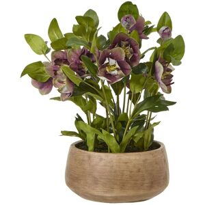 Hill Interiors Hellebore Artificial Potted Plant in Plum Plum Hill Interiors Hellebore Artificial Potted Plant in Plum Plum