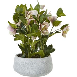 Hill Interiors Hellebore Artificial Potted Plant - Artificial Potted Plant Hill Interiors Hellebore Artificial Potted Plant - Artificial Potted Plant