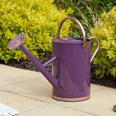 Marco Paul 4.5L Metal Watering Can - Violet in Purple Purple Marco Paul 4.5L Metal Watering Can - Violet in Purple Purple