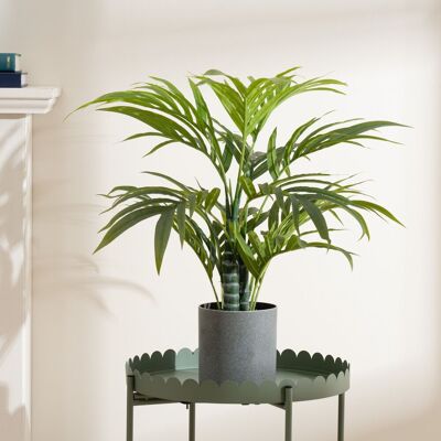 Scottish Everlastings Ltd 60cm Palm Tree in Green Green Scottish Everlastings Ltd 60cm Palm Tree in Green Green