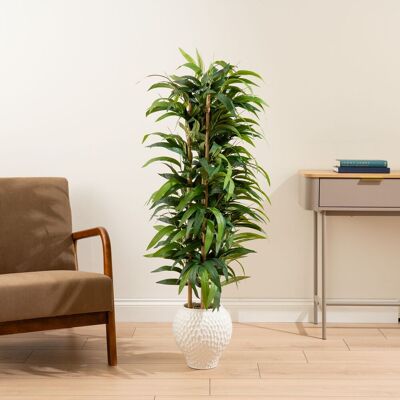 Scottish Everlastings Ltd 130cm Slimline Bamboo tree in Dimpled Ceramic Pot in Green Green Scottish Everlastings Ltd 130cm Slimline Bamboo tree in Dimpled Ceramic Pot in Green Green