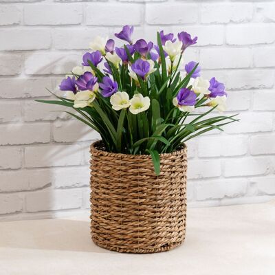 Scottish Everlastings Ltd 58cm Crocus in Seagrass Basket in Purple Purple Scottish Everlastings Ltd 58cm Crocus in Seagrass Basket in Purple Purple