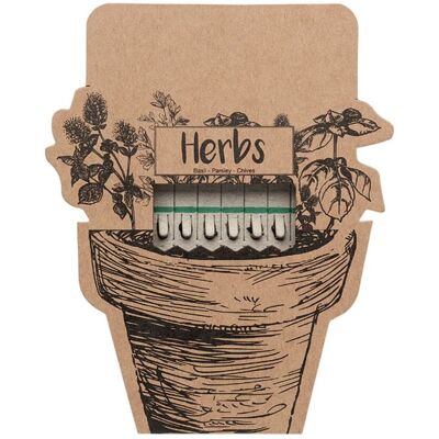 MidOcean Leyti Herb Seeds in Beige Beige MidOcean Leyti Herb Seeds in Beige Beige