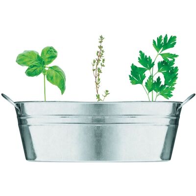 MidOcean Herb Seeds Plant Pot in Silver Silver MidOcean Herb Seeds Plant Pot in Silver Silver
