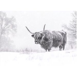 Warren Reed - Designer Snowy Black & White Highland Cow Glass Chopping Board White Warren Reed - Designer Snowy Black & White Highland Cow Glass Chopping Board White