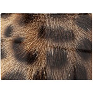 Warren Reed - Designer Tabby Fur Print Chopping Board in Brown Brown Warren Reed - Designer Tabby Fur Print Chopping Board in Brown Brown