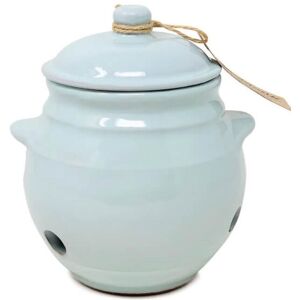 Verano Spanish Ceramics Rustic Pastel Fully Dipped Terracotta Kitchen Garlic Storage Jar w/ Lid (H) 15cm in Duck Egg Blue Duck Egg Blue Verano Spanish Ceramics Rustic Pastel Fully Dipped Terracotta Kitchen Garlic Storage Jar w/ Lid (H) 15cm in Duck Egg Blue Duck Egg Blue