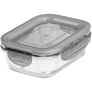 SmartStore Multipurpose BPA Free 'Glass Food Container' in Clear Size: Medium Clear Medium SmartStore Multipurpose BPA Free 'Glass Food Container' in Clear Size: Medium Clear Medium