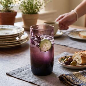 Premier Housewares - Hi Ball Glasses - Purple - Set of 4 - Glassware Premier Housewares - Hi Ball Glasses - Purple - Set of 4 - Glassware