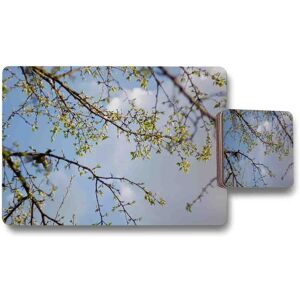 Benjamin Tate Design tree branches sky placemat coaster set in Natural Natural Benjamin Tate Design tree branches sky placemat coaster set in Natural Natural