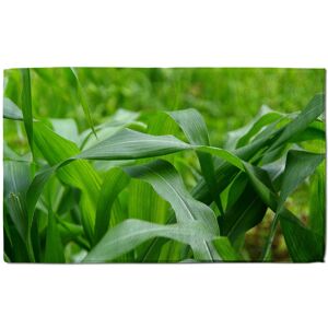 Benjamin Tate Design Green Leaves corn fields as background Designer Bath Towel in White White Benjamin Tate Design Green Leaves corn fields as background Designer Bath Towel in White White