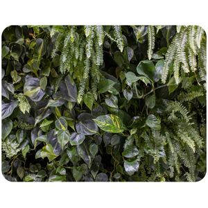 Benjamin Tate Design urban jungle, modern interior decoration Designer Blanket in Natural Size: 120 cm x 150 cm Natural 120 cm x 150 cm Benjamin Tate Design urban jungle, modern interior decoration Designer Blanket in Natural Size: 120 cm x 150 cm Natural 120 cm x 150 cm