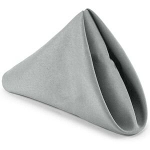 Neel Blue 20 Inch Polyester Table Napkins, Reusable, Wrinkle-Resistant - 50x50cm in Silver Size: 50x50 cm Silver 50x50 cm Neel Blue 20 Inch Polyester Table Napkins, Reusable, Wrinkle-Resistant - 50x50cm in Silver Size: 50x50 cm Silver 50x50 cm