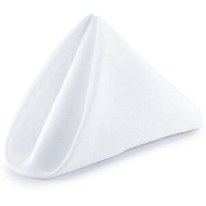Neel Blue 20 Inch Polyester Table Napkins, Reusable, Wrinkle-Resistant - 50x50cm in White Size: 50x50 cm White 50x50 cm Neel Blue 20 Inch Polyester Table Napkins, Reusable, Wrinkle-Resistant - 50x50cm in White Size: 50x50 cm White 50x50 cm
