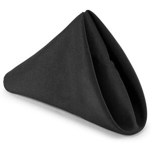 Neel Blue 20 Inch Polyester Table Napkins, Reusable, Wrinkle-Resistant - 50x50cm in Black Size: 50x50 cm Black 50x50 cm Neel Blue 20 Inch Polyester Table Napkins, Reusable, Wrinkle-Resistant - 50x50cm in Black Size: 50x50 cm Black 50x50 cm