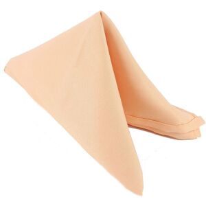 Neel Blue 20 Inch Polyester Table Napkins, Reusable, Wrinkle-Resistant - 50x50cm in Peach Size: 50x50 cm Peach 50x50 cm Neel Blue 20 Inch Polyester Table Napkins, Reusable, Wrinkle-Resistant - 50x50cm in Peach Size: 50x50 cm Peach 50x50 cm
