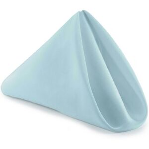 Neel Blue 20 Inch Polyester Table Napkins, Reusable, Wrinkle-Resistant Cloth Napkins, 10pcs in Baby Blue Baby Blue Neel Blue 20 Inch Polyester Table Napkins, Reusable, Wrinkle-Resistant Cloth Napkins, 10pcs in Baby Blue Baby Blue