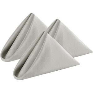 Neel Blue 20 Inch Polyester Table Napkins, Reusable, Wrinkle-Resistant Cloth Napkins, 10pcs in Grey Grey Neel Blue 20 Inch Polyester Table Napkins, Reusable, Wrinkle-Resistant Cloth Napkins, 10pcs in Grey Grey