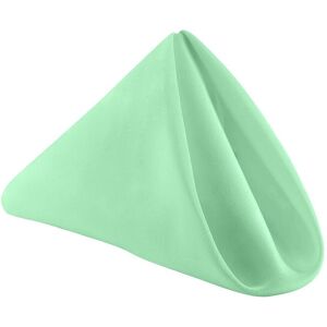 Neel Blue 20 Inch Polyester Table Napkins, Reusable, Wrinkle-Resistant Cloth Napkins, 10pcs in Light Green Light Green Neel Blue 20 Inch Polyester Table Napkins, Reusable, Wrinkle-Resistant Cloth Napkins, 10pcs in Light Green Light Green