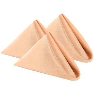 Neel Blue 20 Inch Polyester Table Napkins, Reusable, Wrinkle-Resistant Cloth Napkins, 10pcs in Peach Peach Neel Blue 20 Inch Polyester Table Napkins, Reusable, Wrinkle-Resistant Cloth Napkins, 10pcs in Peach Peach
