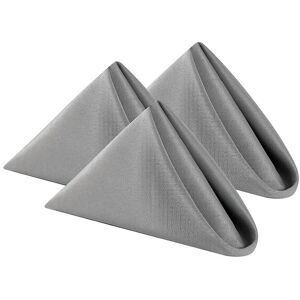 Neel Blue 20 Inch Polyester Table Napkins, Reusable, Wrinkle-Resistant Cloth Napkins, 10pcs in Silver Silver Neel Blue 20 Inch Polyester Table Napkins, Reusable, Wrinkle-Resistant Cloth Napkins, 10pcs in Silver Silver