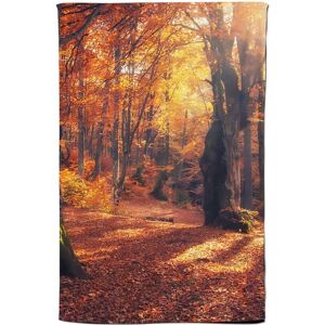 Warren Reed - Designer Autumn Forest Tea Towel in Brown Brown Warren Reed - Designer Autumn Forest Tea Towel in Brown Brown