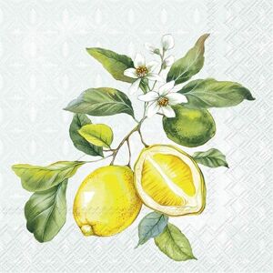 IHR Ideal Home Range Cocktail Napkins Lemon Mint 25cm 3ply 20 Pack Mint IHR Ideal Home Range Cocktail Napkins Lemon Mint 25cm 3ply 20 Pack Mint