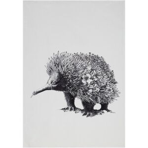 Maxwell & Williams Marini Ferlazzo Echidna Tea Towel Multicolor Maxwell & Williams Marini Ferlazzo Echidna Tea Towel Multicolor